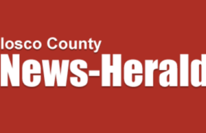 Vuelven lecturas calientes para noches frías | Entretenimiento