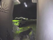 Perro desaparecido regresa a casa tocando el timbre | Estilo de vida