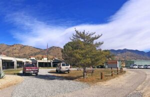 Pluma en mano: mirando hacia 2024 | Estilo de vida