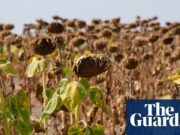 El mundo soporta una 'década de calor mortal' mientras 2024 culmina los años más calurosos registrados | Crisis climática