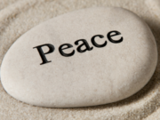 Un llamado a la paz mundial