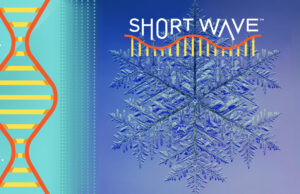 Detrás de los récords mundiales de copos de nieve y cristales de hielo: onda corta: NPR