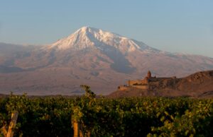 Precios modestos para vinos de alta calidad en todo el mundo