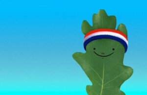 Estos son los deportes que jugarán tus amigos este año