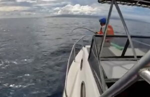 Ballena rescatada tras quedar enredada en plástico desechado en el océano | Estilo de vida