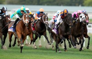 Campo de la Copa Mundial Pegasus, probabilidades y selecciones del día de carrera de 2025 en Gulfstream
