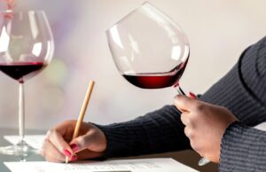 Desbloqueando el mundo de la educación del vino para los consumidores