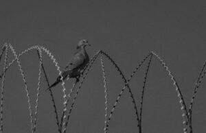 Opinión | Dos de los principales pensadores del mundo sobre cómo se extravió la izquierda