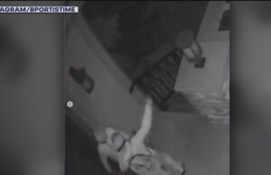 El FBI emite una advertencia a las ligas deportivas profesionales