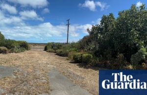 La ganadora del césped más feo del mundo dice que deja el riego a la Madre Naturaleza | Agua