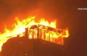 El chef José Andrés y World Central Kitchen alimentan a los necesitados en California – Telemundo Washington DC (44)