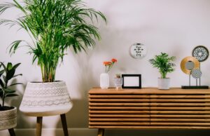 El estilo de vida minimalista no es para mí – opinión