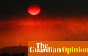 Mientras el mundo arde, los jóvenes australianos sienten incredulidad y buscan respuestas | Anjali Sharma