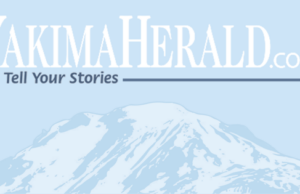 La estrella de 'Hacks' Poppy Liu se burla del regreso de la temporada 4 a Las Vegas