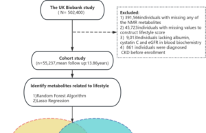 La asociación entre los perfiles metabolómicos del estilo de vida y la fase latente de la enfermedad renal crónica incidente en la población del Reino Unido