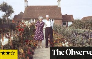 Suelo: The World At Our Feet Review: microbios, hongos y el sonido de un cactus bebiendo | Exposiciones