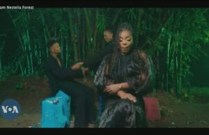 Bosque de artista de RNB congoleño Nestelia