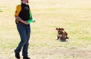El entretenimiento sorprende en la feria y festival de globos Havasu 2025