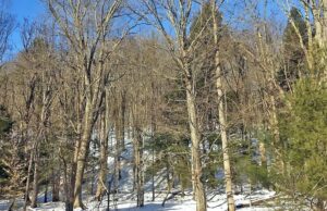 ¿Ya es primavera? | Deportes