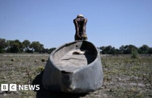 2024 será el primero en superar el límite de calentamiento de 1,5 °C
