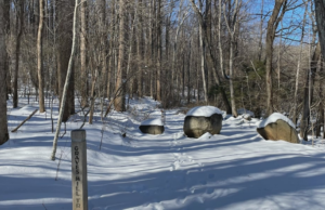 Atrapado en un mundo de nieve/hielo