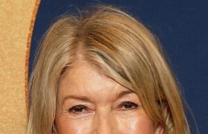 La declaración mordaz de Martha Stewart sobre el ahora difunto blog de estilo de vida de Blake Lively reveló