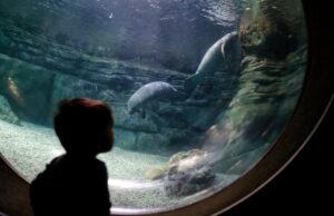 El zoológico de Ohio entre los 25 mejores zoológicos del mundo