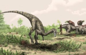Los dinosaurios más antiguos del mundo escondidos en el Amazonas y el Sahara » Explorersweb