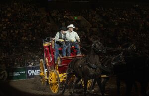 Rodeos, animales y entretenimiento: Stock Show llega a la ciudad