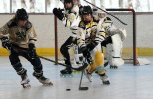 Tigres tropezó con Golden Tornado, 6-4
