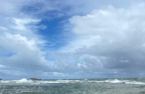 Hayley Tang sobre peregrinaciones con un propósito y tortugas marinas