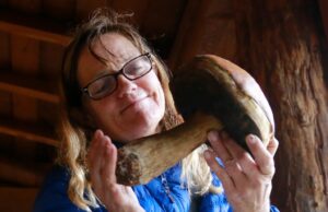 Festival Mill Valley para resaltar el maravilloso mundo de los hongos – Marin Independent Journal