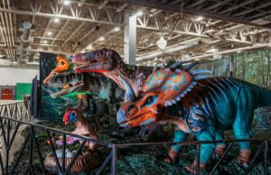 Feria de invierno de Syracuse, 'Tina Turner Musical', Jurassic Quest: 15 cosas para hacer esta semana en CNY
