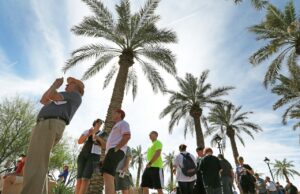 Los Guardianes permanecen en MLB-TV mientras los Rojos se asocian con FanDuel Sports