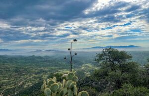 Desafíos de apelación La aprobación de Arizona de la contaminación del aire peligrosa de la mina mundial de cobre