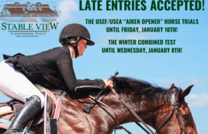 Enlaces del sábado de marcas ecuestres mundiales – Eventing Nation – Noticias, resultados, vídeos y comentarios sobre eventos de tres días