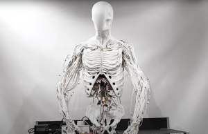 8 de los robots más extraños del mundo en este momento