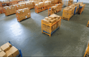 Por qué los modelos de la Fundación Mundial serán clave para avanzar en la IA física