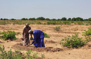 Tres cuartas partes de la tierra del mundo se están secando, “redefiniendo la vida en la Tierra”