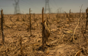 Las dañinas megasequías se están extendiendo por todo el mundo