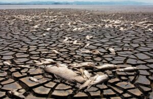 El mundo supera el objetivo de calentamiento global de 1,5°C por primera vez en 2024