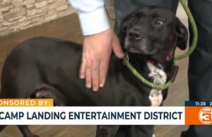 Distrito de entretenimiento Camp Landing