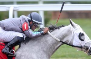 PREDICCIONES DE PEGASUS CUBIERA 2025 Predicciones, caballos, probabilidades, campo, alineación: selecciones sorprendentes del mejor experto en carreras de caballos