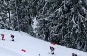 Vista previa, programación, cómo mirar