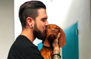 Noticias de estilo de vida en vivo hoy 8 de enero de 2025: Humanos versus perros: ¿Cómo se procesan sus expresiones faciales? Estudio revela
