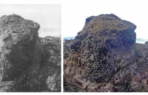 Los criaderos de mejillones estudiados antes de la Segunda Guerra Mundial siguen prosperando