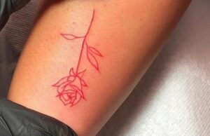 Noticias de estilo de vida en vivo hoy 3 de enero de 2025: Dermatóloga revela 5 cosas que nunca haría: 'Nunca te harías un tatuaje rojo porque…'