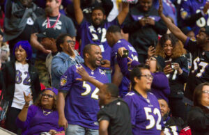 ¿Ya nos estamos divirtiendo? Por qué observar a los cuervos es una agonía tan exquisita