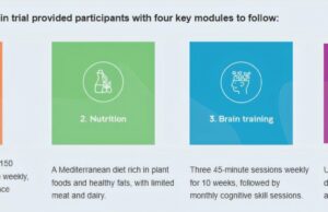 La prueba de estilo de vida en línea muestra una mejor cognición en adultos mayores
