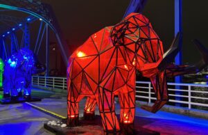 World of Winter regresa al oeste de Michigan, un boom para las empresas locales